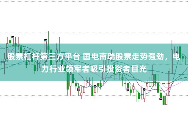 股票杠杆第三方平台 国电南瑞股票走势强劲，电力行业领军者吸引投资者目光