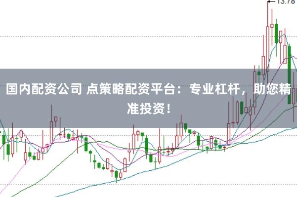 国内配资公司 点策略配资平台：专业杠杆，助您精准投资！