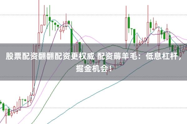 股票配资翻翻配资更权威 配资薅羊毛：低息杠杆，掘金机会！