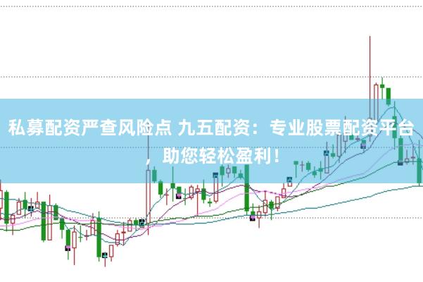 私募配资严查风险点 九五配资：专业股票配资平台，助您轻松盈利！