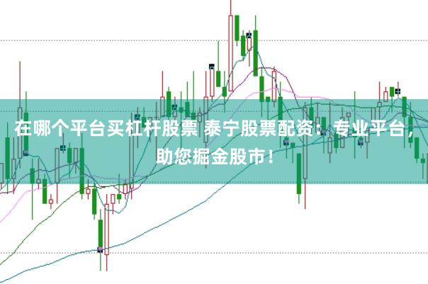 在哪个平台买杠杆股票 泰宁股票配资：专业平台，助您掘金股市！