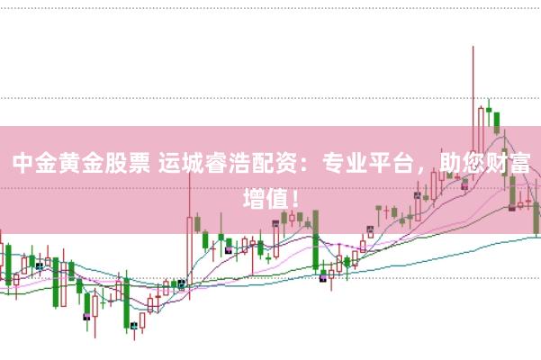 中金黄金股票 运城睿浩配资：专业平台，助您财富增值！