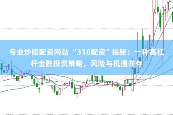 专业炒股配资网站 “318配资”揭秘：一种高杠杆金融投资策略，风险与机遇并存
