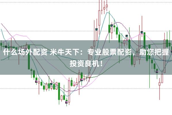 什么场外配资 米牛天下：专业股票配资，助您把握投资良机！