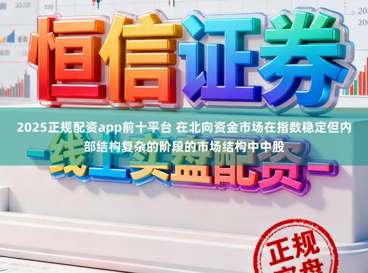 2025正规配资app前十平台 在北向资金市场在指数稳定但内部结构复杂的阶段的市场结构中中股